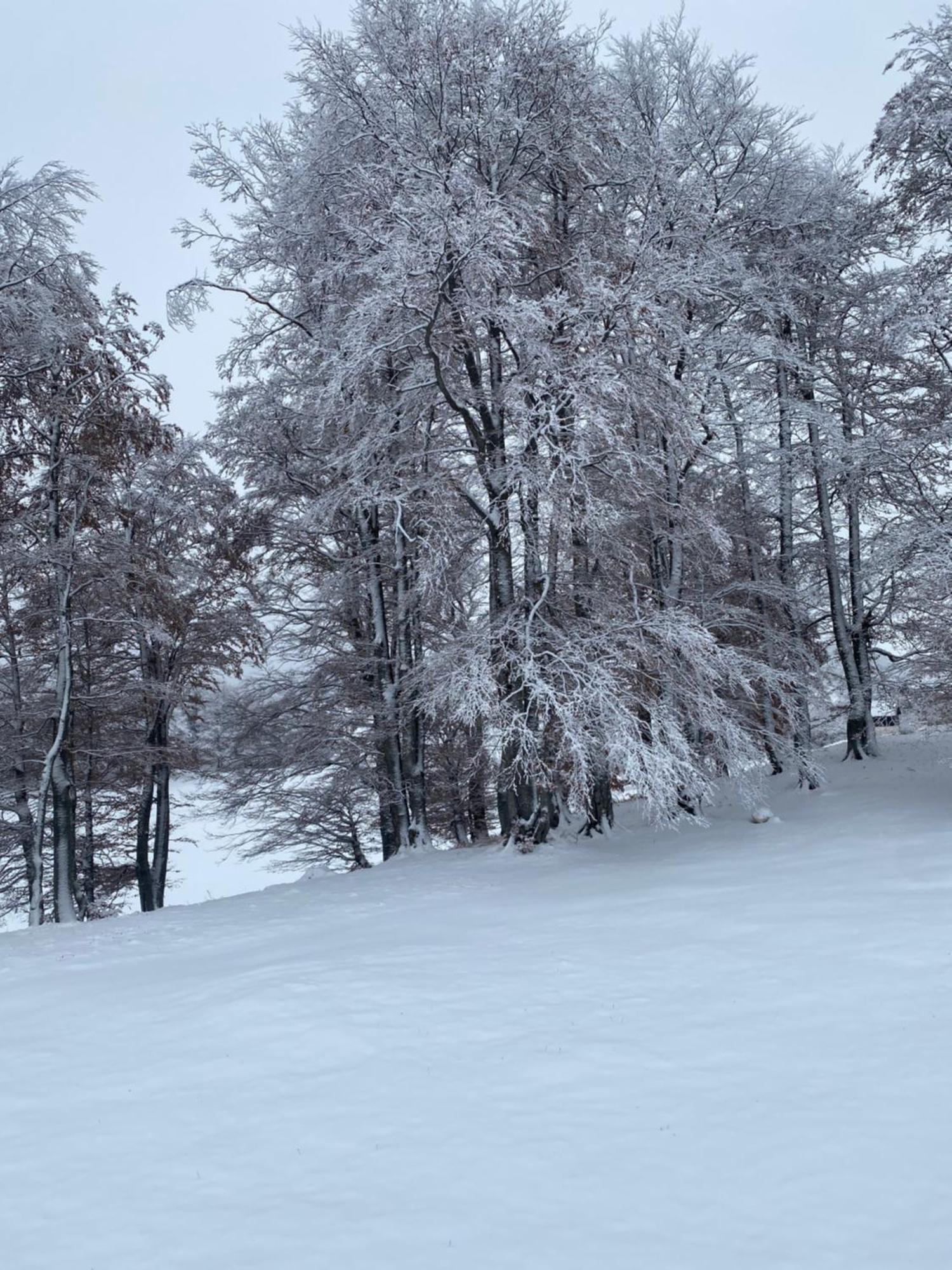 Vikendica Aleksandra جابلياك المظهر الخارجي الصورة